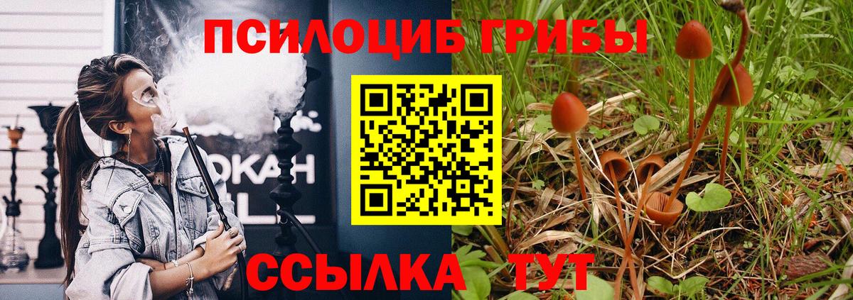 Псилоцибиновые грибы ЛСД  Псилоцибиновые грибы MAGIC MUSHROOMS  Сарапул  Вход с VPN 