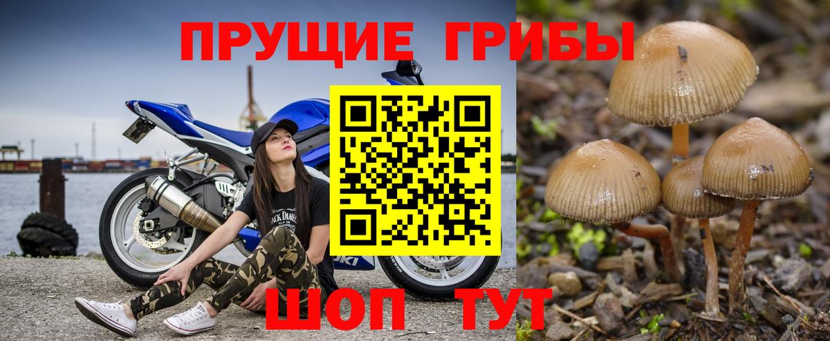 Галлюциногенные грибы ЛСД Сарапул
